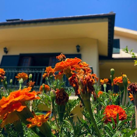 Casa Sao Simao Villa Barcelos Buitenkant foto