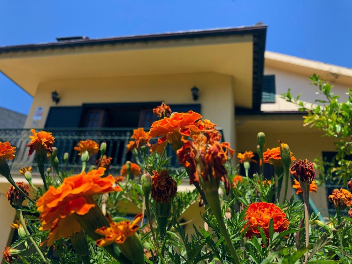 Casa Sao Simao Villa Barcelos Buitenkant foto